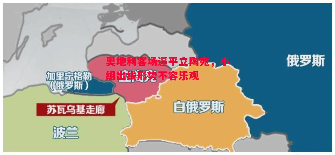 奥地利客场逼平立陶宛,小组出线形势不容乐观 奥地利客场逼平立陶宛,小组出线形势不容乐观