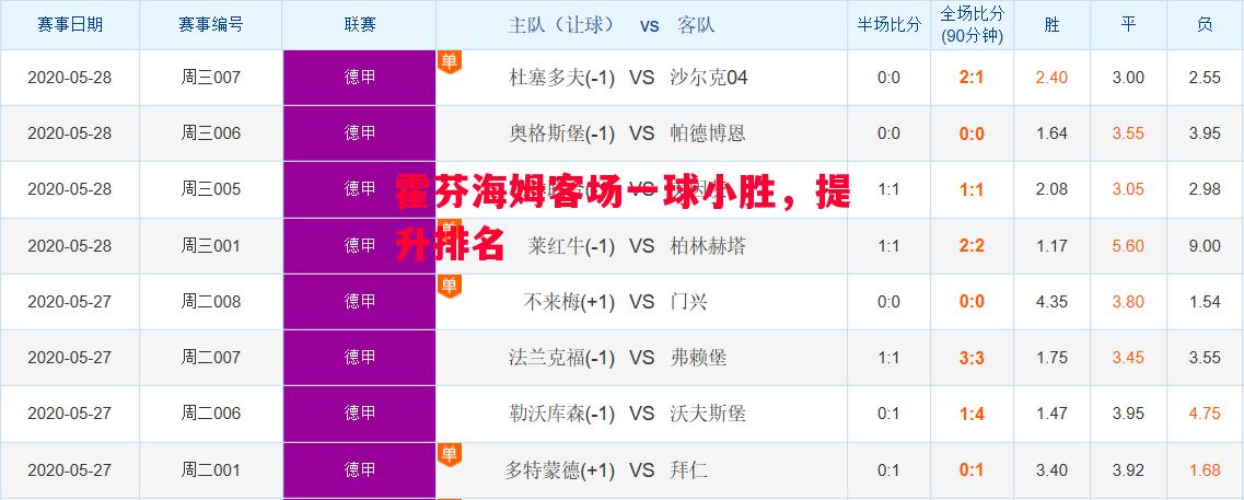 霍芬海姆客场一球小胜,提升排名 霍芬海姆客场一球小胜,提升排名