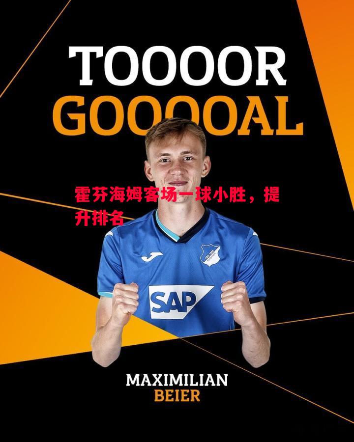 霍芬海姆客场一球小胜,提升排名 霍芬海姆客场一球小胜,提升排名