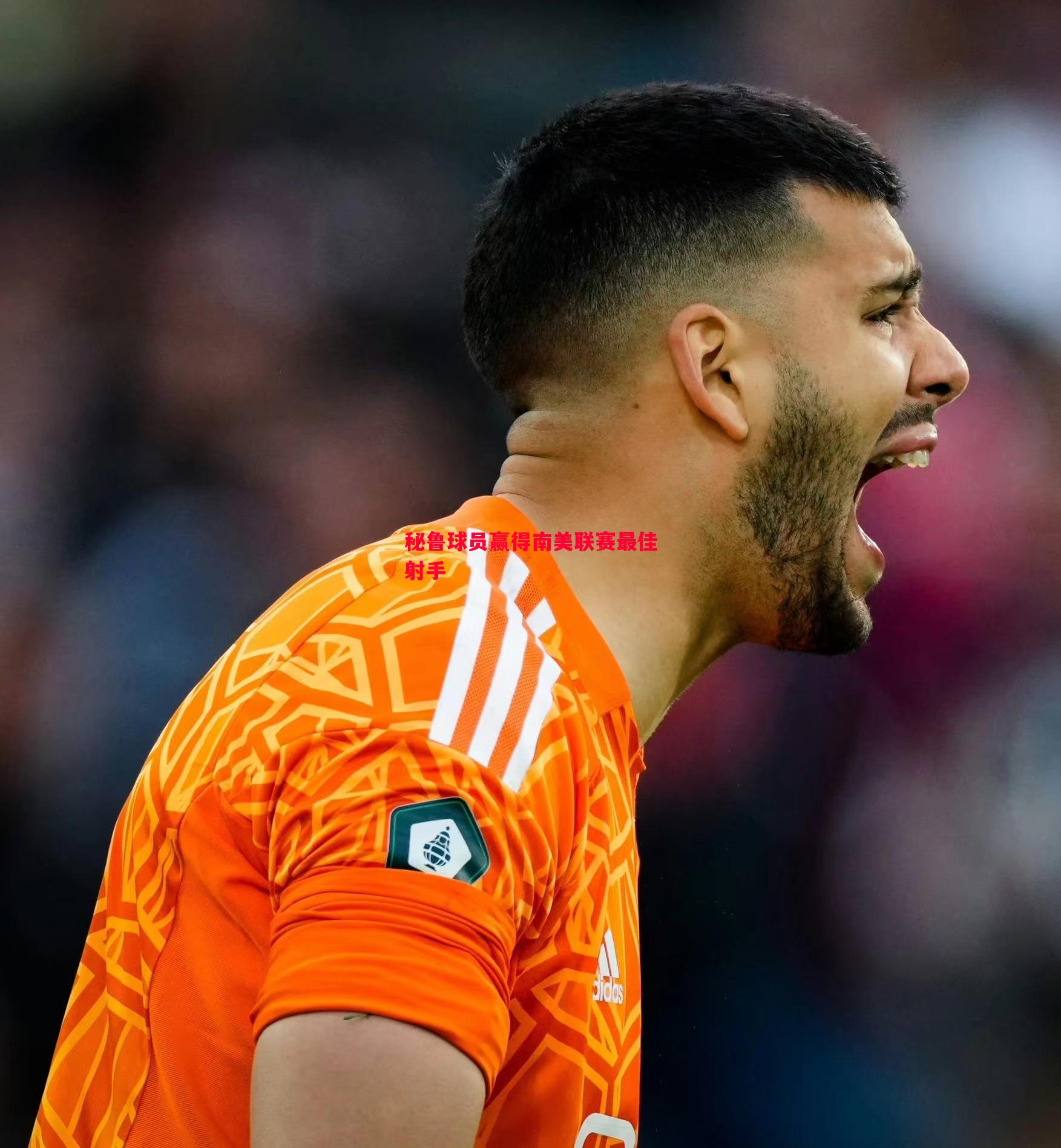 秘鲁球员赢得南美联赛最佳射手 秘鲁球员赢得南美联赛最佳射手