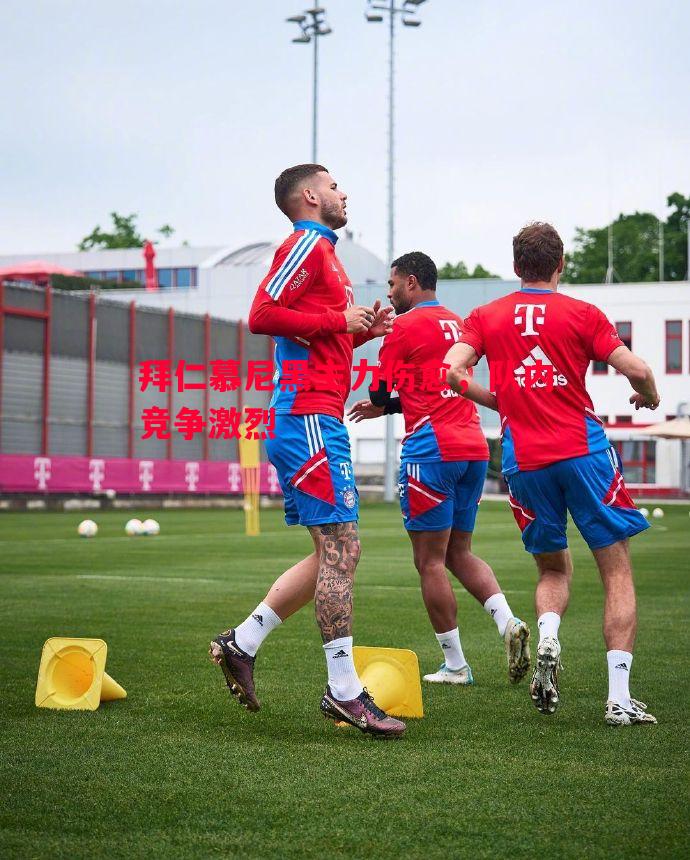 拜仁慕尼黑主力伤愈,队内竞争激烈 拜仁慕尼黑主力伤愈,队内竞争激烈