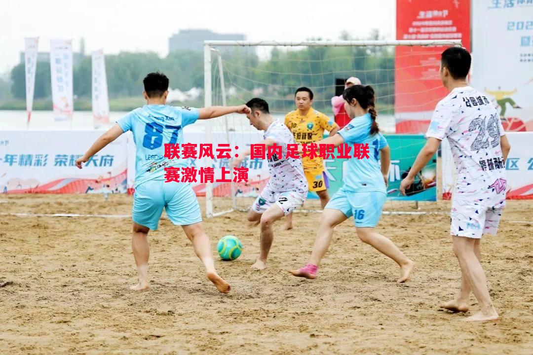 联赛风云:国内足球职业联赛激情上演 联赛风云:国内足球职业联赛激情上演
