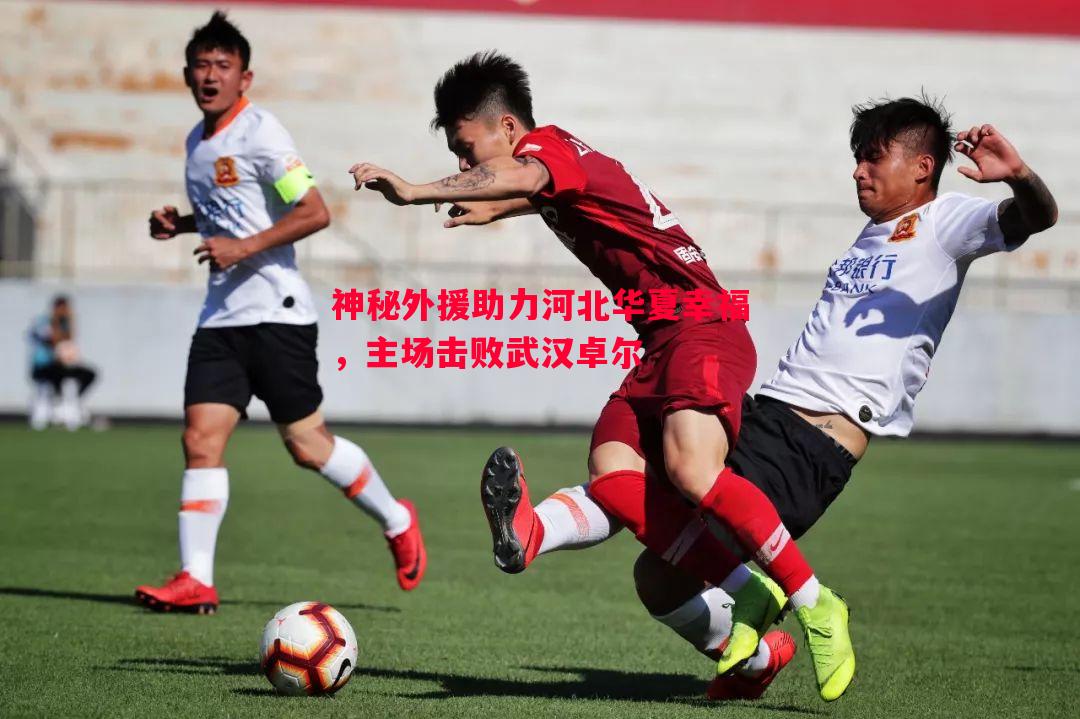 德信体育-神秘外援助力河北华夏幸福，主场击败武汉卓尔
