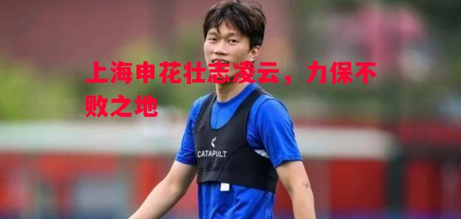 上海申花壮志凌云,力保不败之地 上海申花壮志凌云,力保不败之地